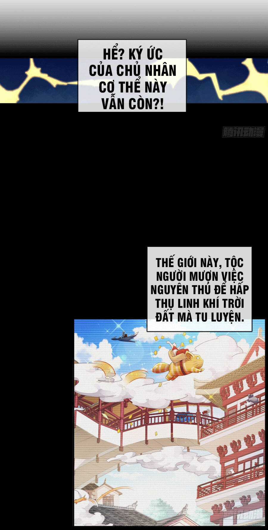 Tuyệt Sắc Đạo Lữ Đều Nói Ngô Hoàng Thể Chất Vô Địch Chương 1 trang 23