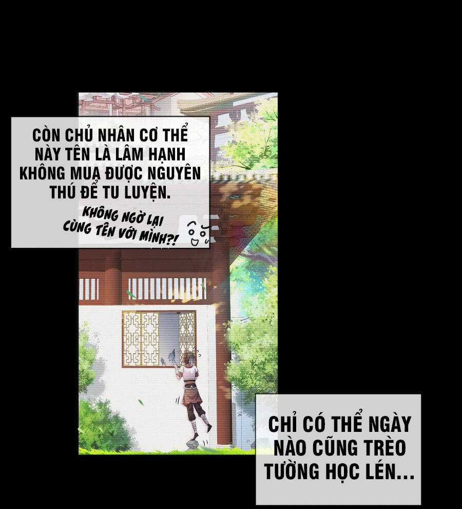 Tuyệt Sắc Đạo Lữ Đều Nói Ngô Hoàng Thể Chất Vô Địch Chương 1 trang 24