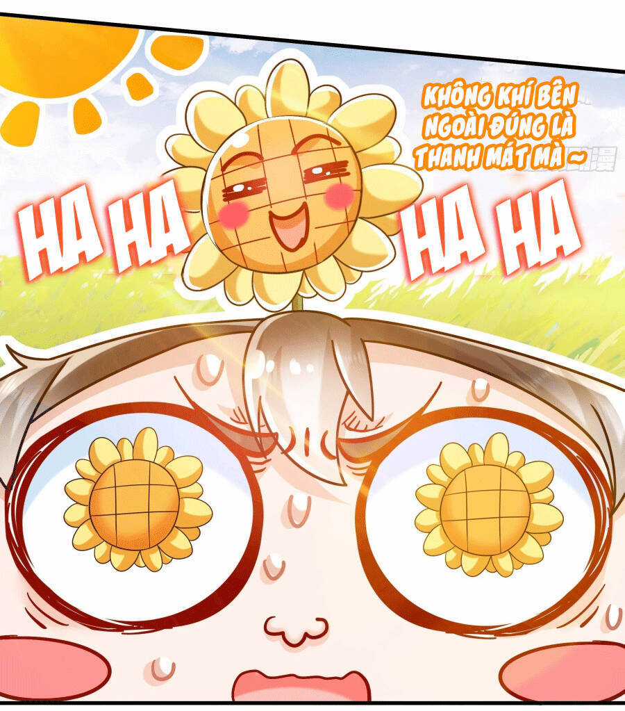 Tuyệt Sắc Đạo Lữ Đều Nói Ngô Hoàng Thể Chất Vô Địch Chương 6 trang 18