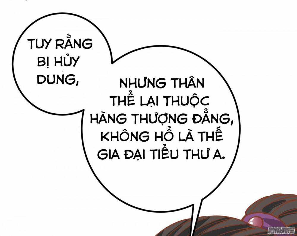 TUYỆT SẮC QUYẾN RŨ: QUỶ Y CHÍ TÔN Chapter 1.1 trang 16