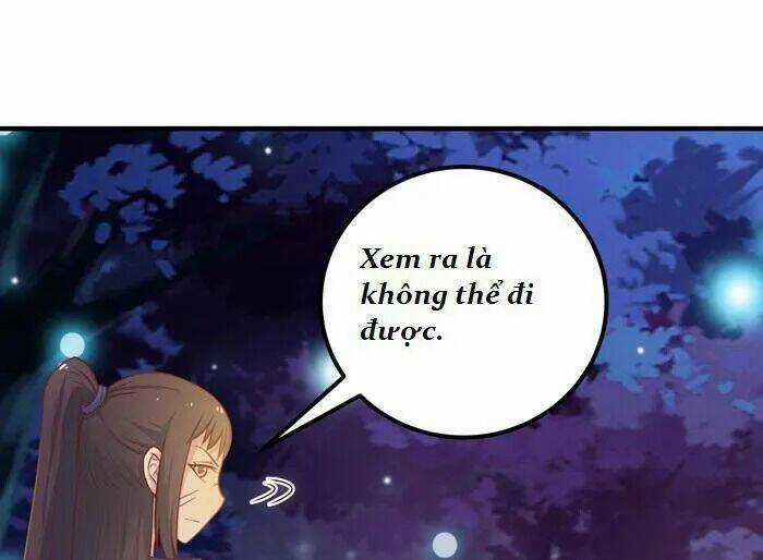 TUYỆT SẮC QUYẾN RŨ: QUỶ Y CHÍ TÔN Chapter 11 trang 23