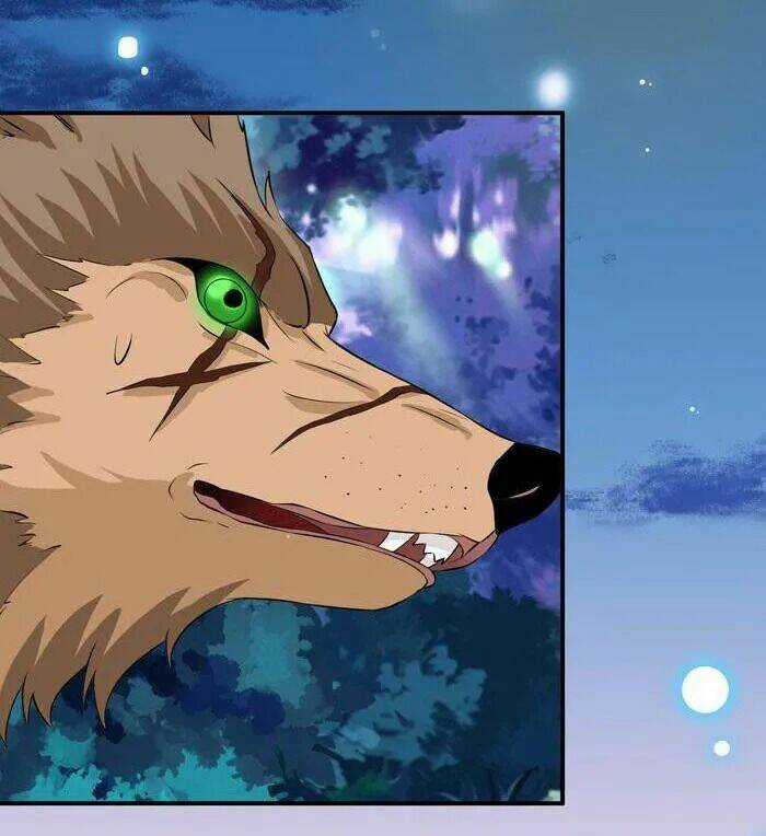 TUYỆT SẮC QUYẾN RŨ: QUỶ Y CHÍ TÔN Chapter 11 trang 51