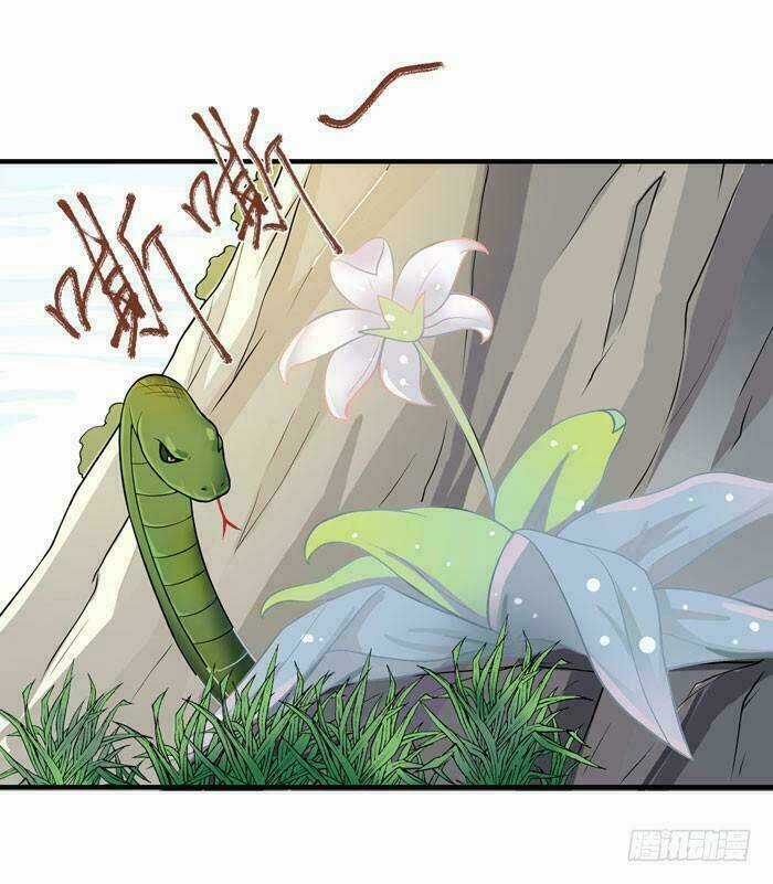 TUYỆT SẮC QUYẾN RŨ: QUỶ Y CHÍ TÔN Chapter 14 trang 30