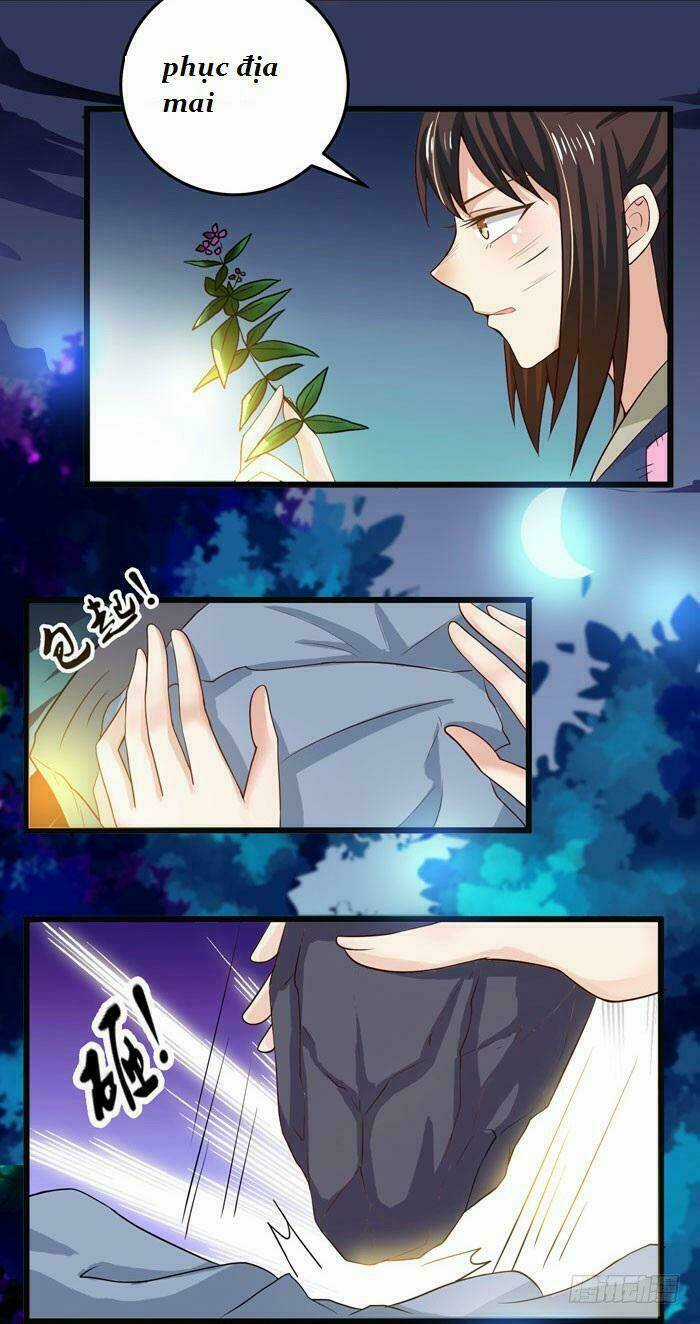 TUYỆT SẮC QUYẾN RŨ: QUỶ Y CHÍ TÔN Chapter 2 trang 41