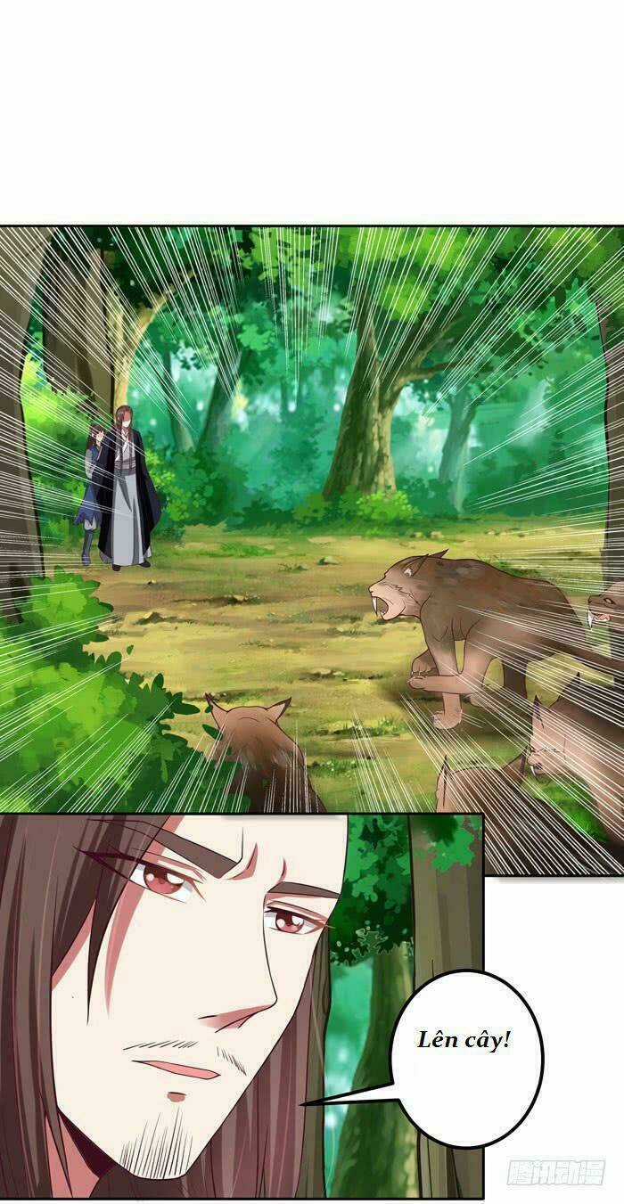 TUYỆT SẮC QUYẾN RŨ: QUỶ Y CHÍ TÔN Chapter 5 trang 11