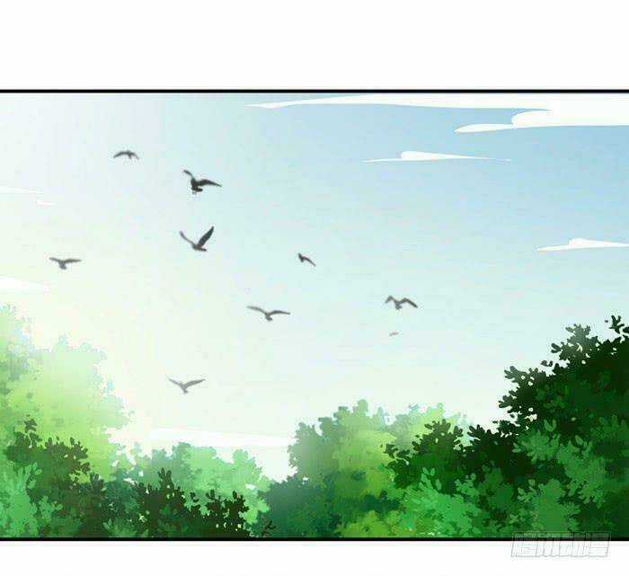 TUYỆT SẮC QUYẾN RŨ: QUỶ Y CHÍ TÔN Chapter 5 trang 7