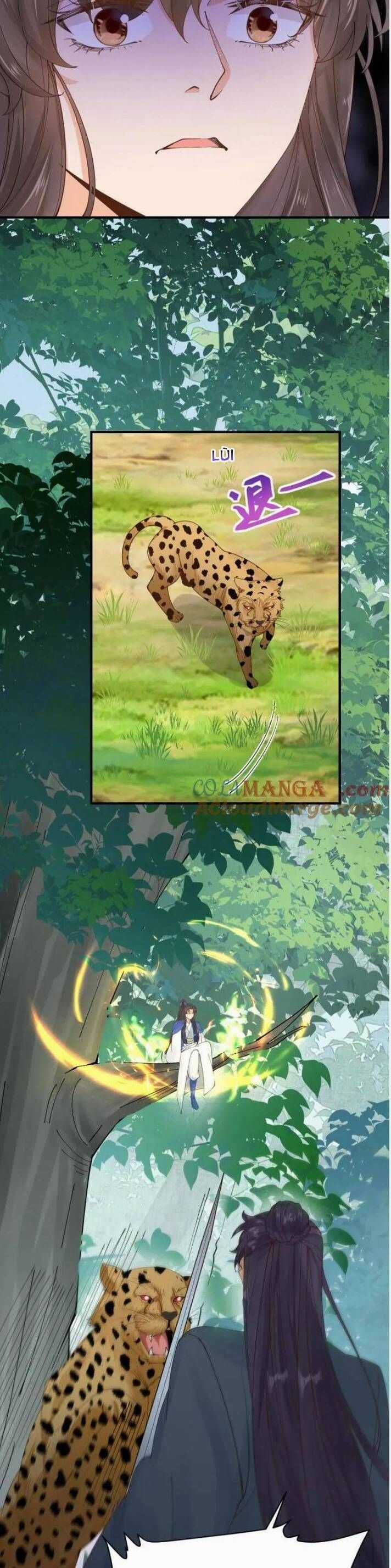 TUYỆT SẮC QUYẾN RŨ: QUỶ Y CHÍ TÔN Chapter 656 trang 10