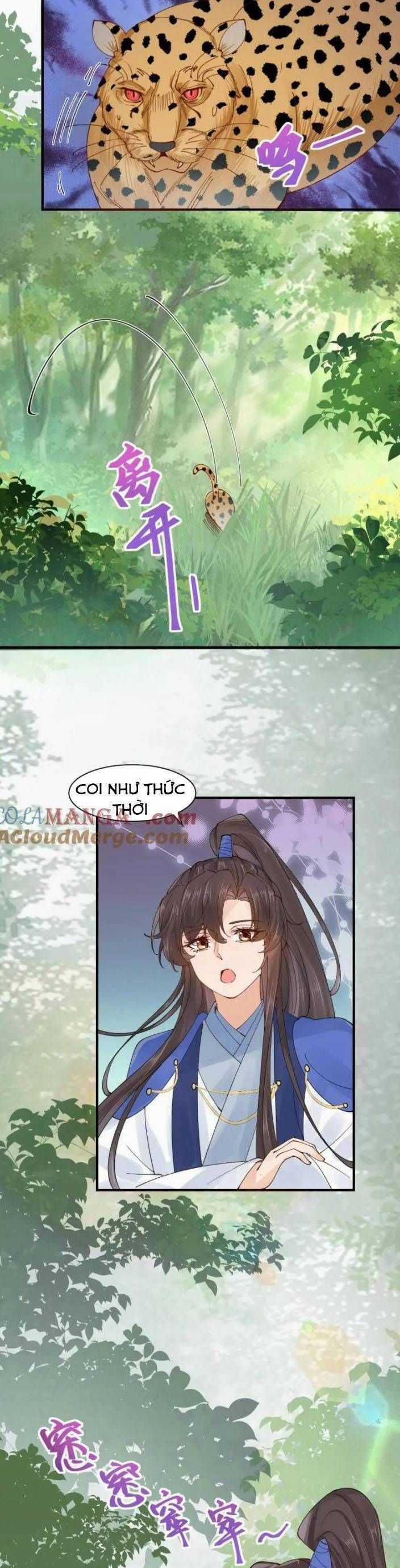 TUYỆT SẮC QUYẾN RŨ: QUỶ Y CHÍ TÔN Chapter 656 trang 17