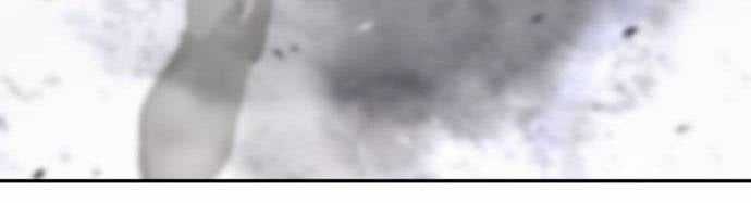 Tuyệt Thế Anh Hùng Chapter 16 trang 94