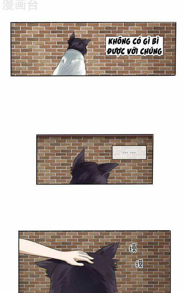 Tuyệt Thế Binh Vương Chapter 13 trang 3