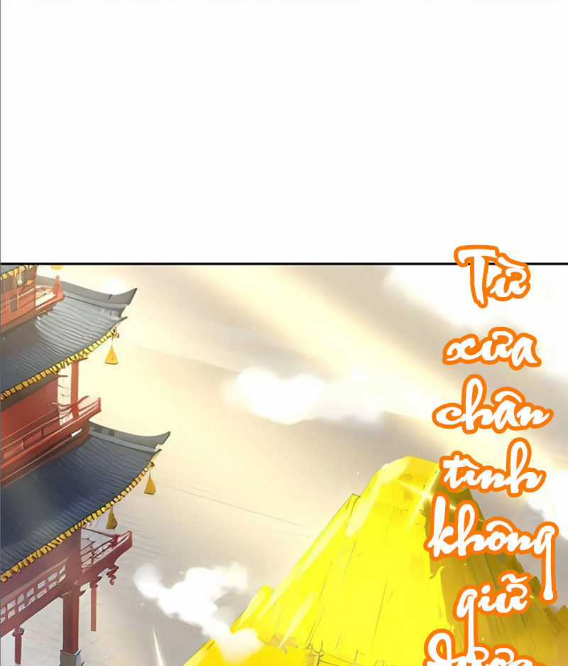Tuyệt Thế Đạo Lữ Chapter 121 trang 46