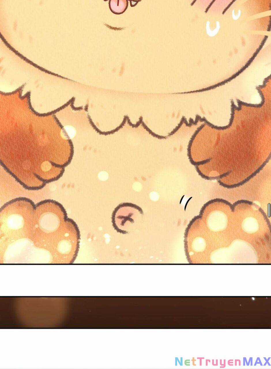 Tuyệt Thế Đạo Lữ Chapter 58 trang 31