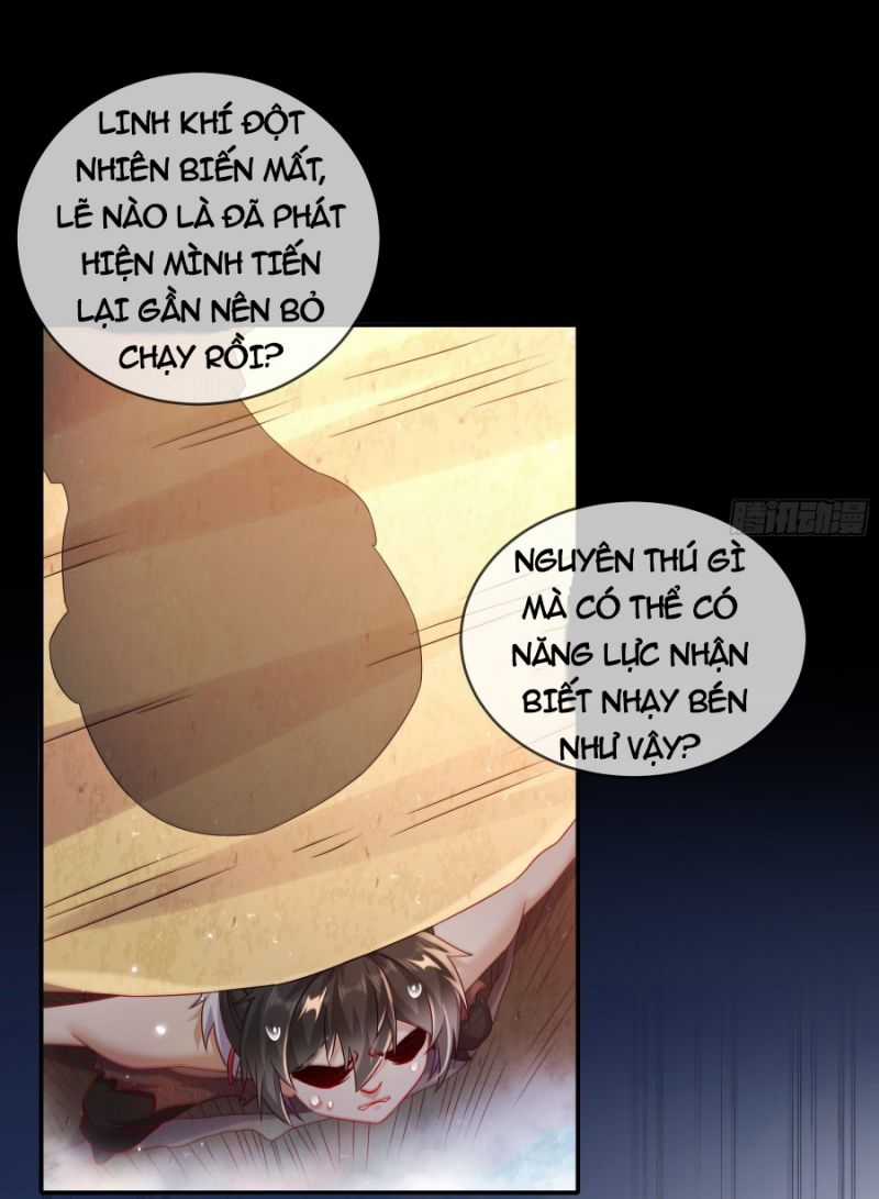 Tuyệt Thế Đạo Lữ Chapter 8 trang 14