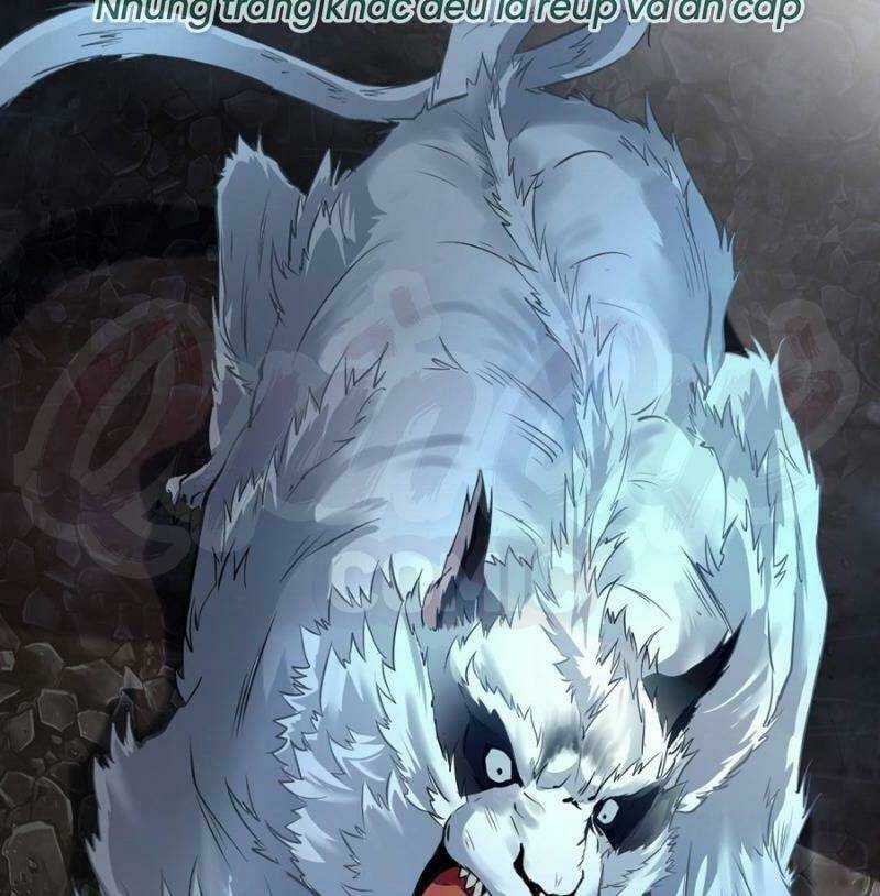 Tuyệt Thế Đế Tôn Chapter 12 trang 1