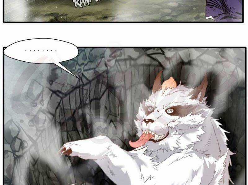 Tuyệt Thế Đế Tôn Chapter 12 trang 31