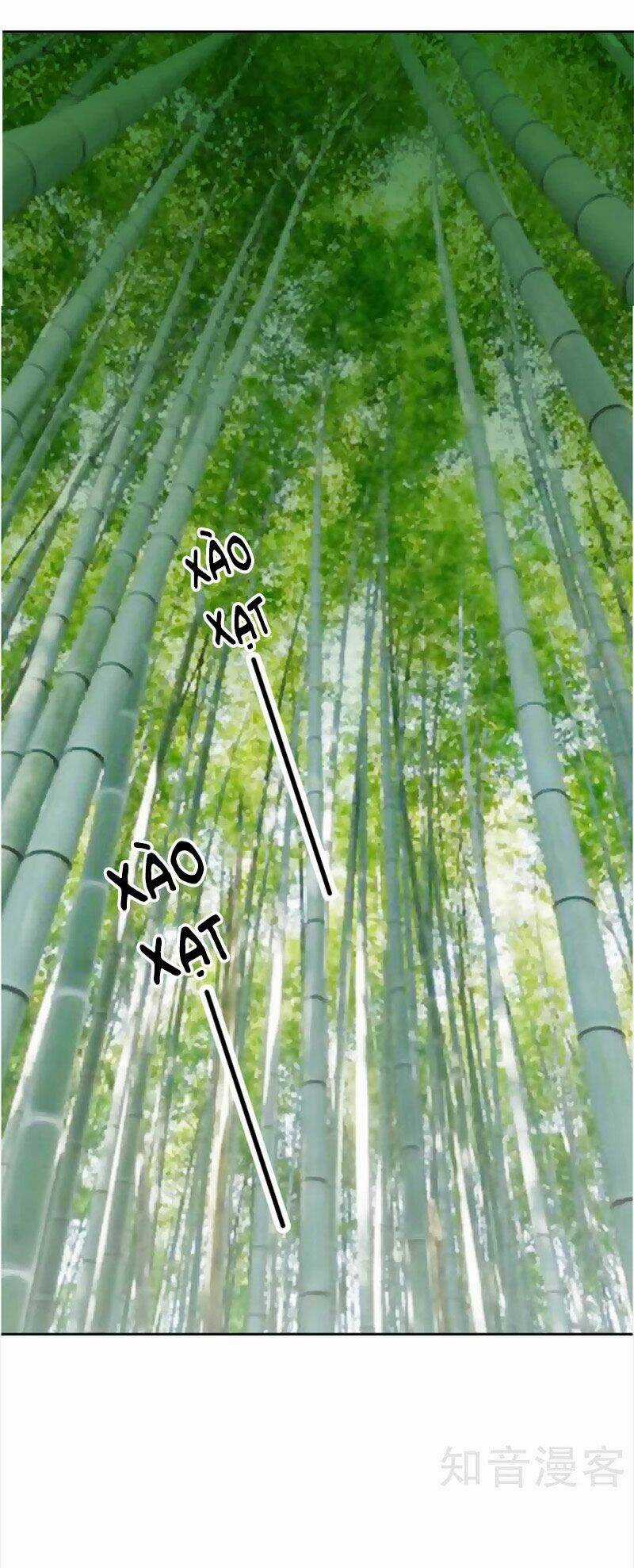 Tuyệt Thế Độc Phi Của Tà Vương Chapter 114 trang 12