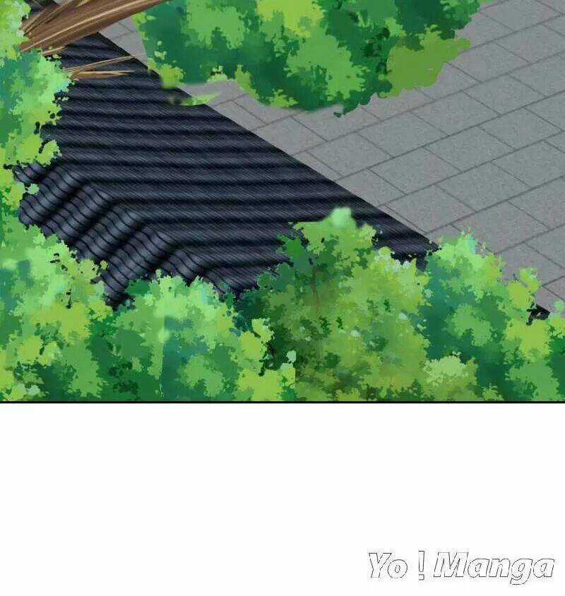 Tuyệt Thế Độc Phi Của Tà Vương Chapter 127 trang 22