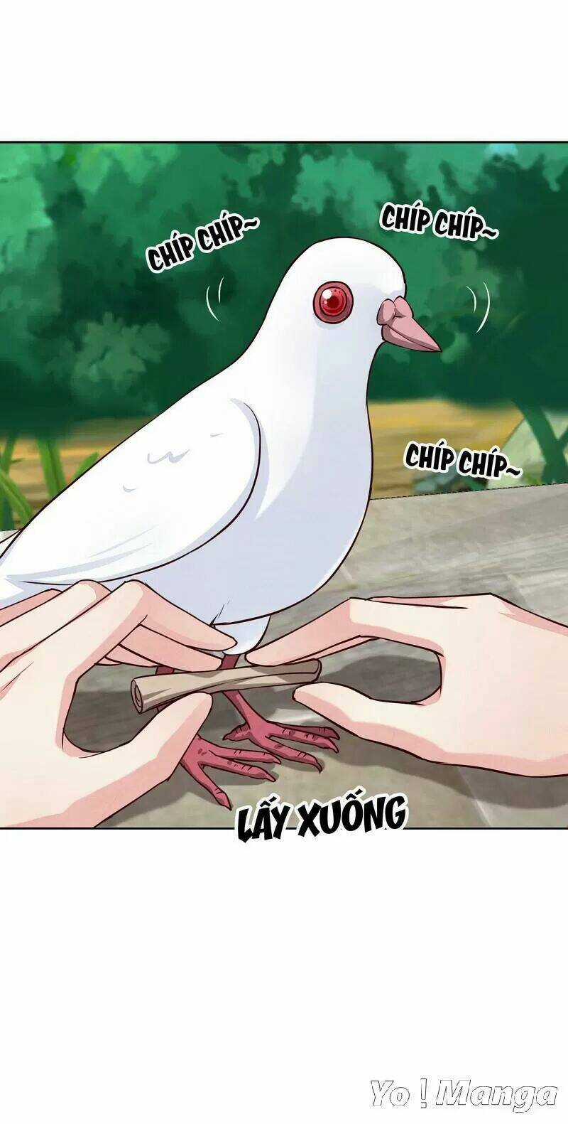 Tuyệt Thế Độc Phi Của Tà Vương Chapter 135 trang 5