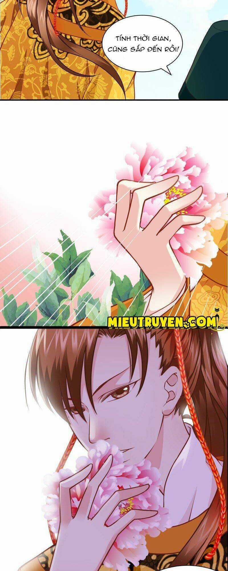 Tuyệt Thế Độc Phi Của Tà Vương Chapter 14 trang 2