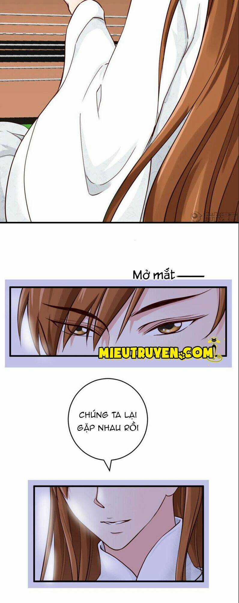 Tuyệt Thế Độc Phi Của Tà Vương Chapter 23 trang 15