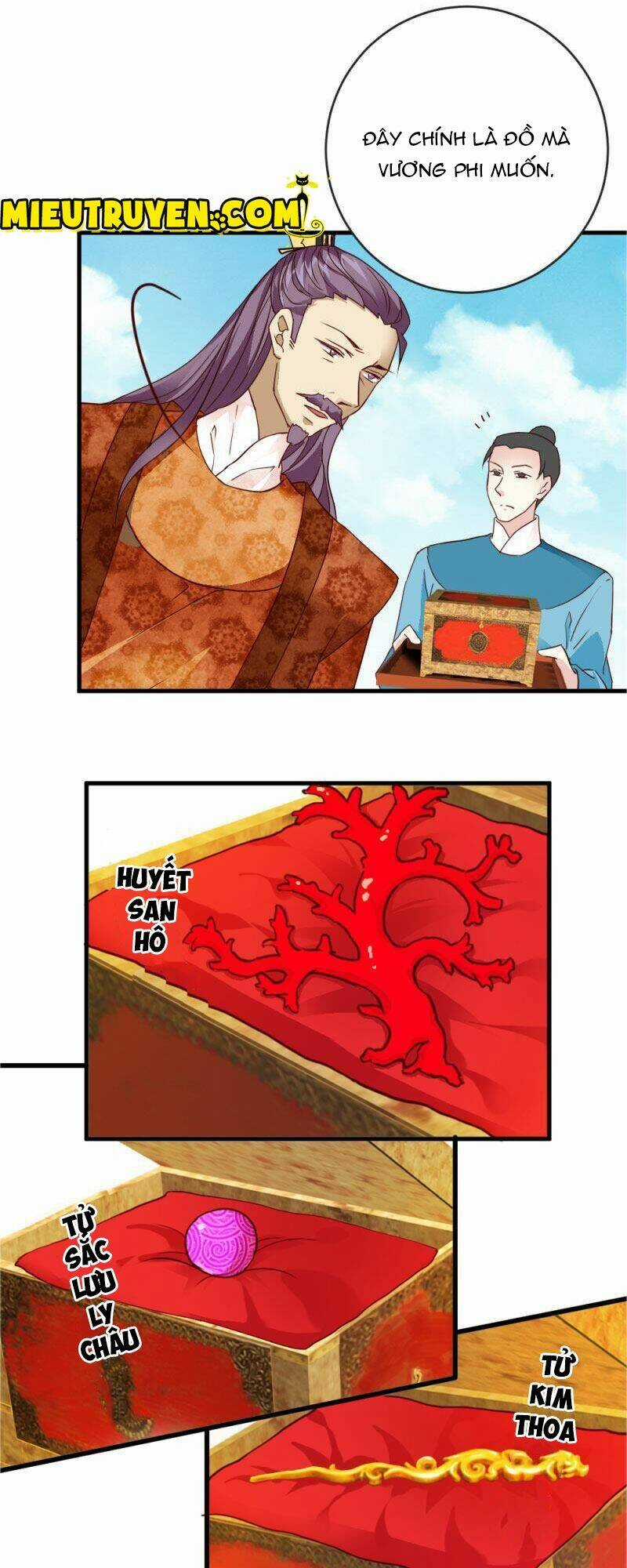 Tuyệt Thế Độc Phi Của Tà Vương Chapter 30 trang 17