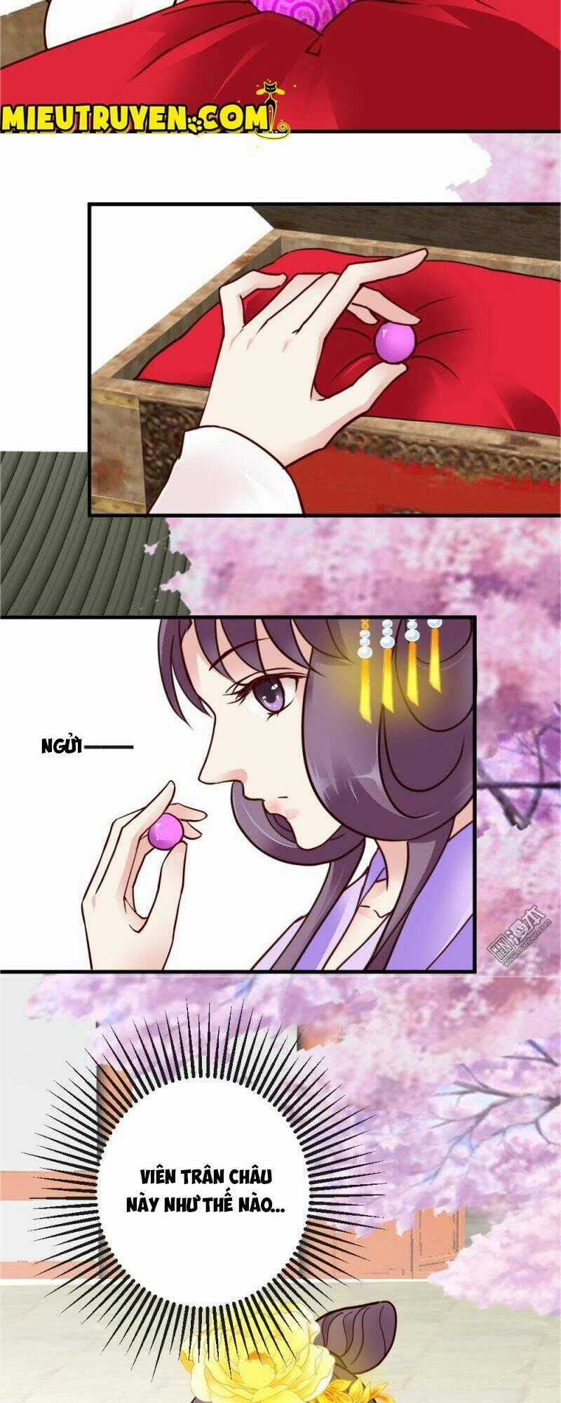 Tuyệt Thế Độc Phi Của Tà Vương Chapter 30 trang 19