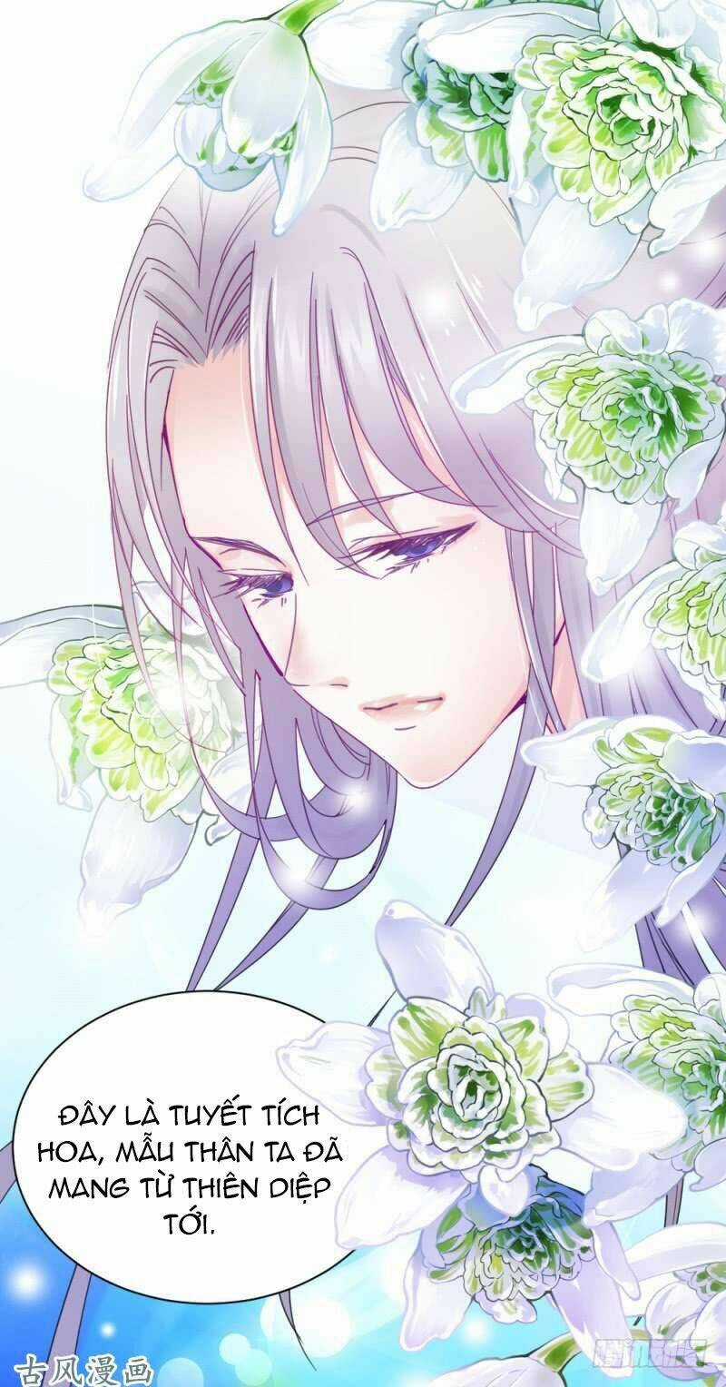 Tuyệt Thế Độc Phi Của Tà Vương Chapter 47 trang 22