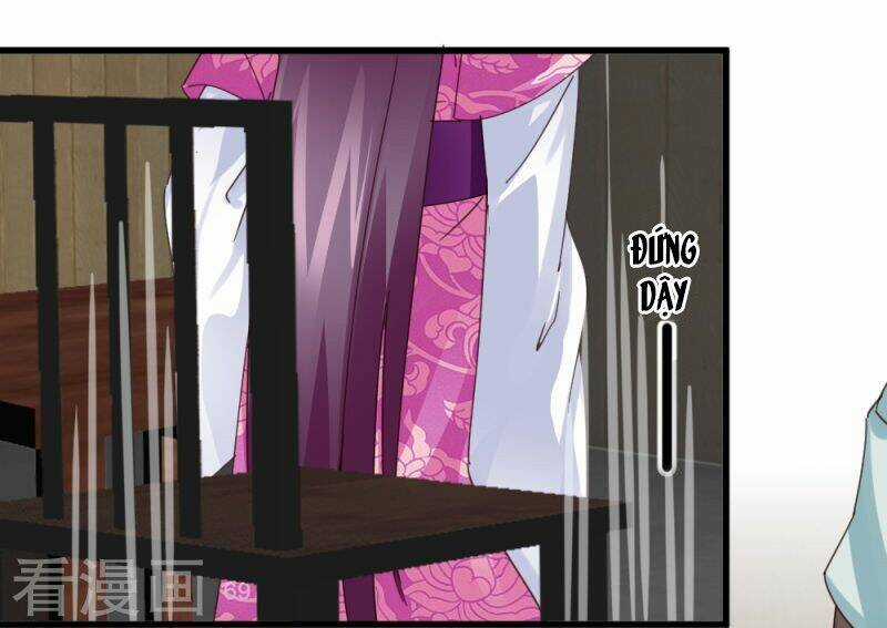 Tuyệt Thế Độc Phi Của Tà Vương Chapter 48 trang 5