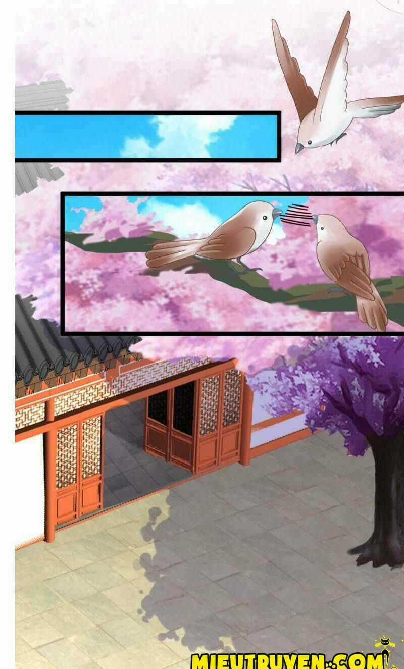 Tuyệt Thế Độc Phi Của Tà Vương Chapter 52 trang 4