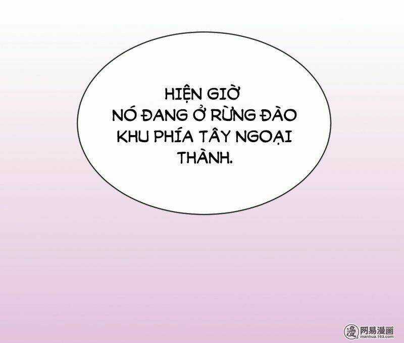 Tuyệt Thế Độc Phi Của Tà Vương Chapter 74 trang 30