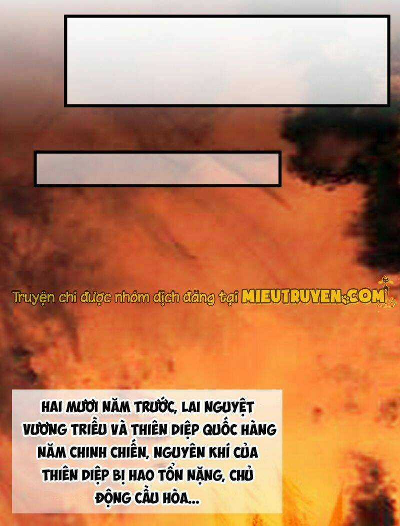 Tuyệt Thế Độc Phi Của Tà Vương Chapter 85 trang 23