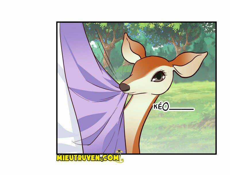 Tuyệt Thế Độc Phi Của Tà Vương Chapter 95 trang 13