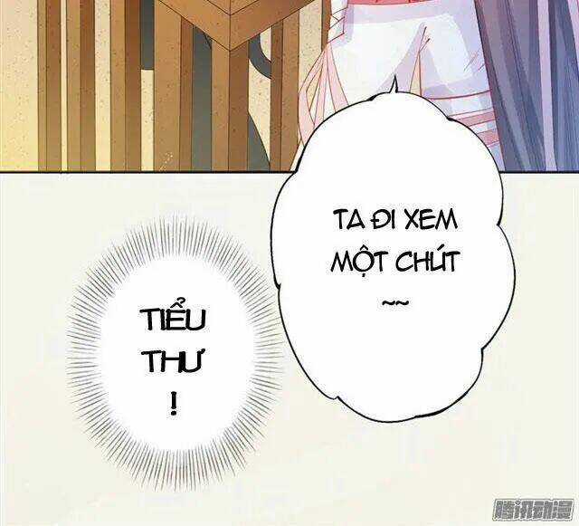 Tuyệt Thế Luyện Đan Sư Chapter 10 trang 16