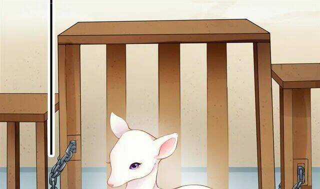 Tuyệt Thế Luyện Đan Sư Chapter 10 trang 21