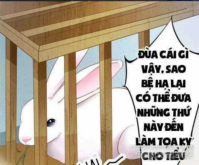 Tuyệt Thế Luyện Đan Sư Chapter 10 trang 5