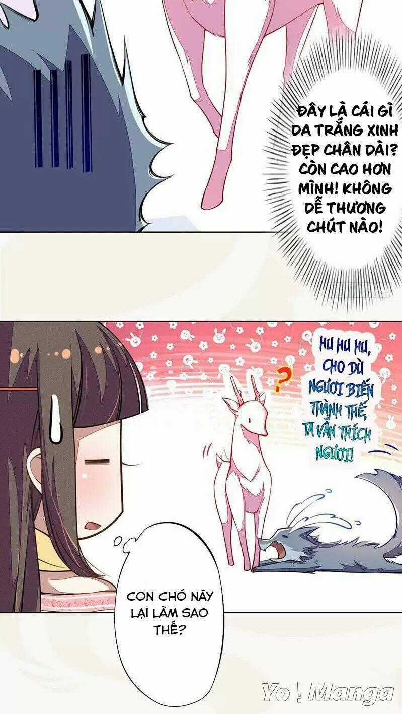 Tuyệt Thế Luyện Đan Sư Chapter 102 trang 29