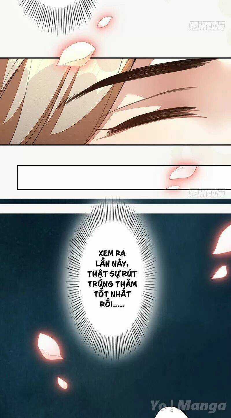 Tuyệt Thế Luyện Đan Sư Chapter 117 trang 14