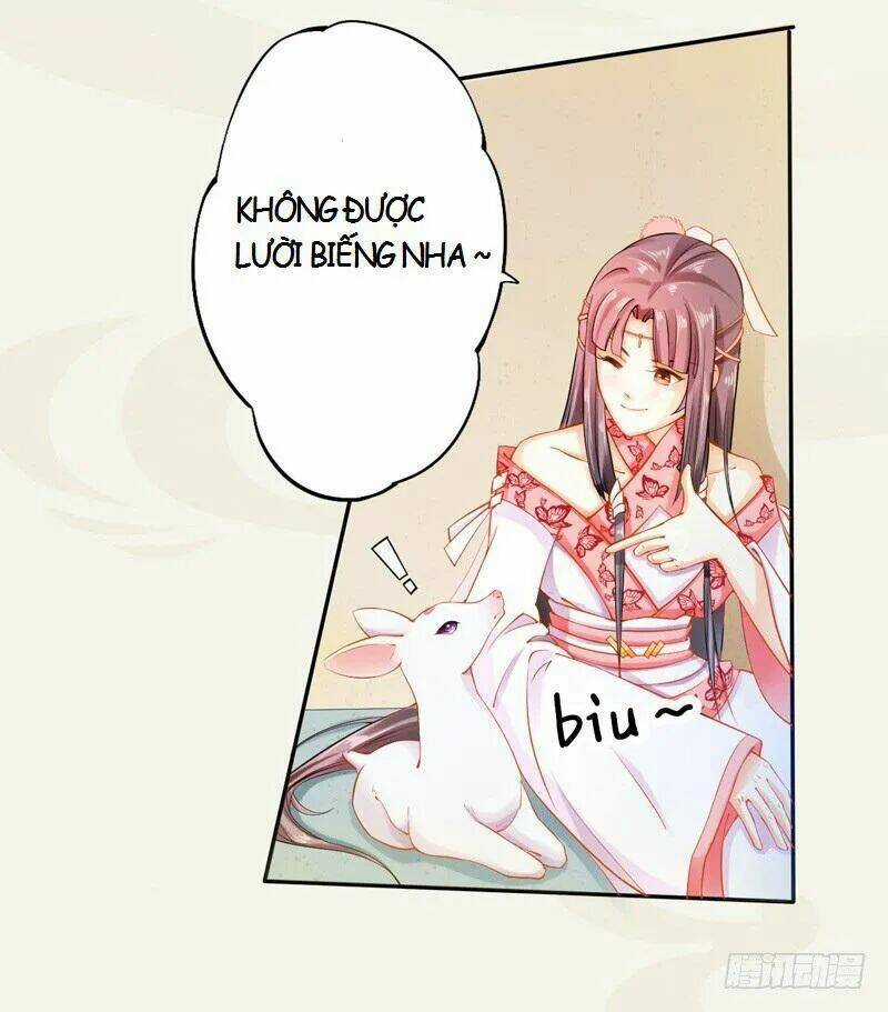 Tuyệt Thế Luyện Đan Sư Chapter 12 trang 12