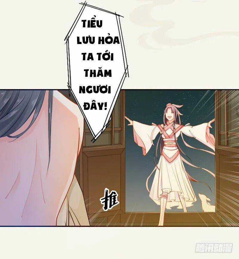 Tuyệt Thế Luyện Đan Sư Chapter 12 trang 23