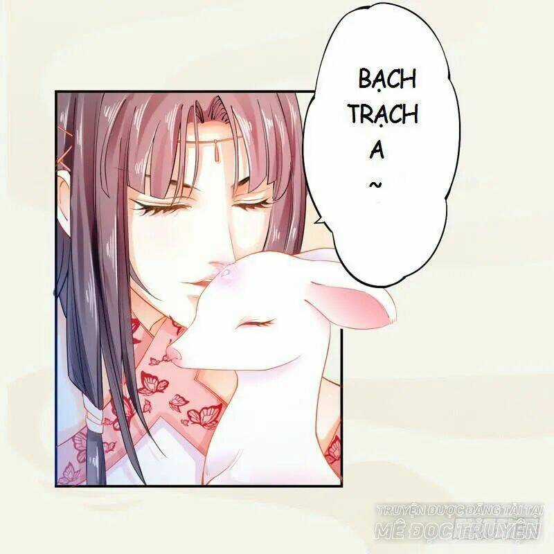 Tuyệt Thế Luyện Đan Sư Chapter 12 trang 5