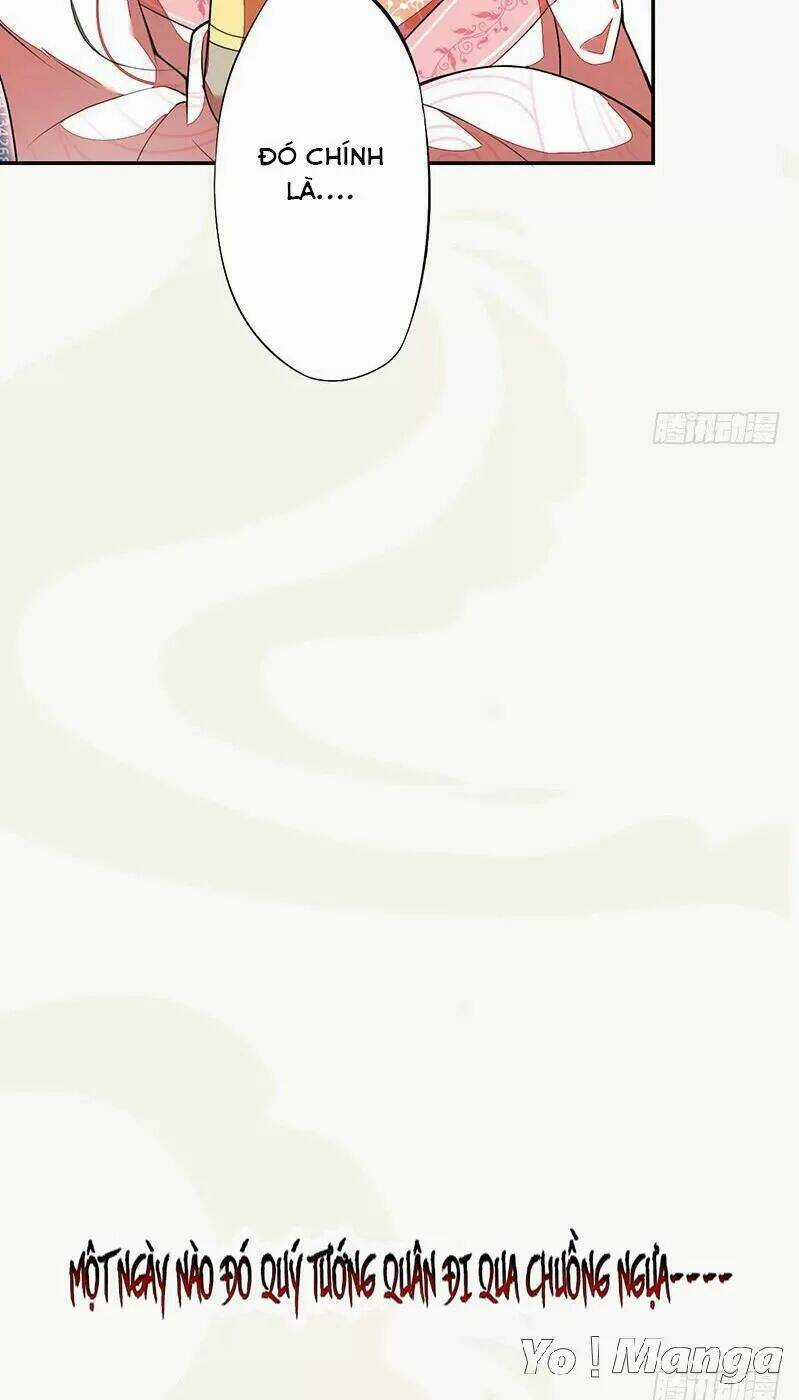 Tuyệt Thế Luyện Đan Sư Chapter 120 trang 26