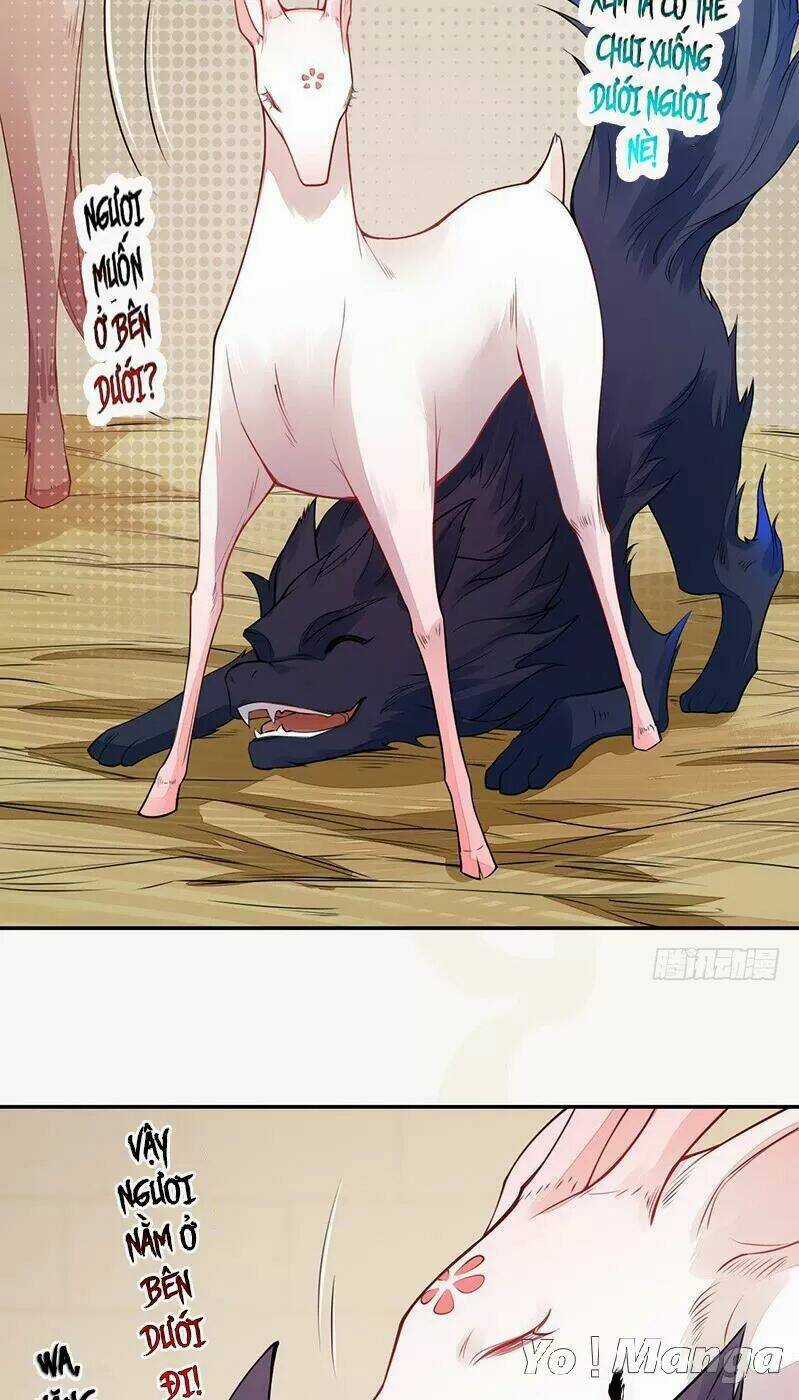 Tuyệt Thế Luyện Đan Sư Chapter 120 trang 29