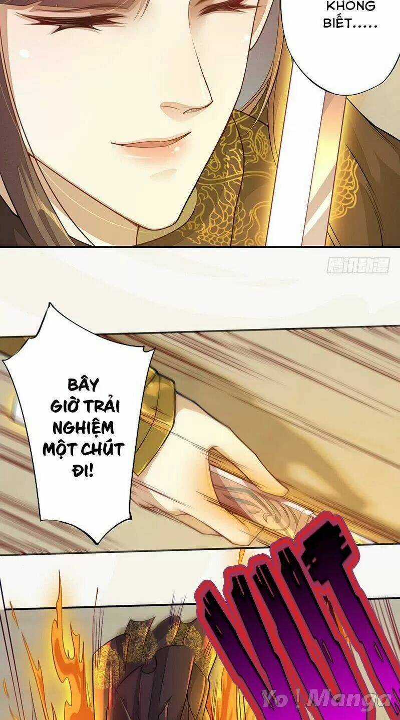 Tuyệt Thế Luyện Đan Sư Chapter 126 trang 7