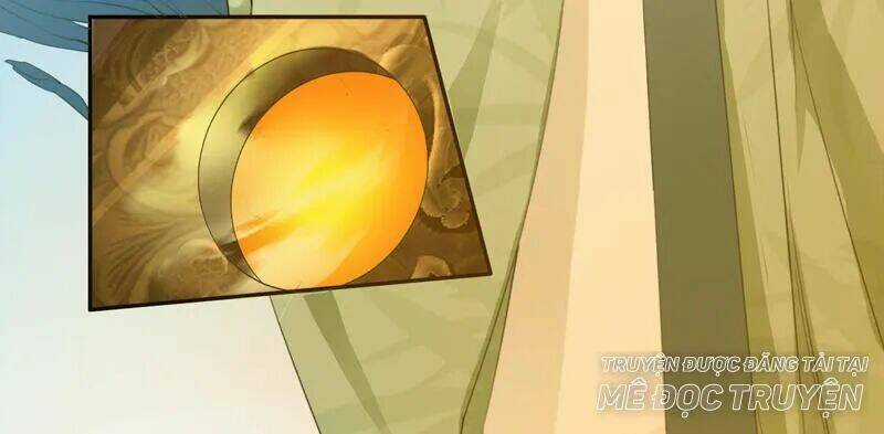 Tuyệt Thế Luyện Đan Sư Chapter 13 trang 30