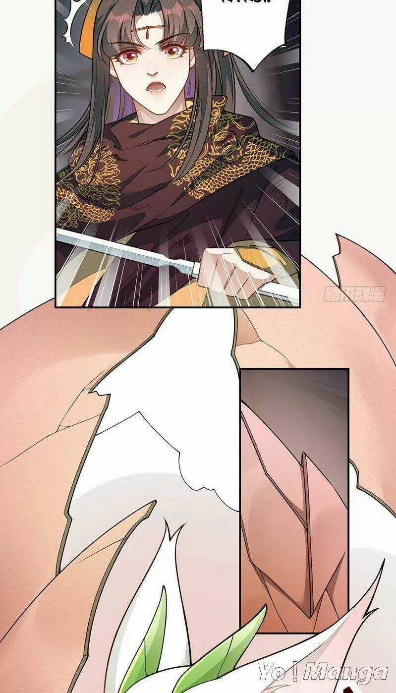 Tuyệt Thế Luyện Đan Sư Chapter 138 trang 25