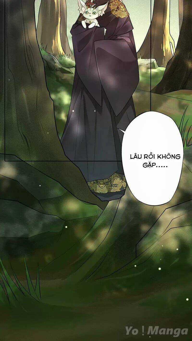 Tuyệt Thế Luyện Đan Sư Chapter 140 trang 10