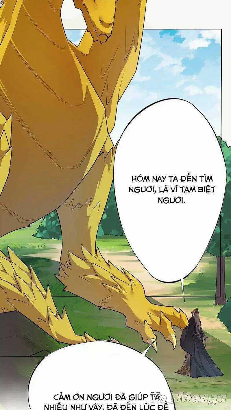 Tuyệt Thế Luyện Đan Sư Chapter 140 trang 25