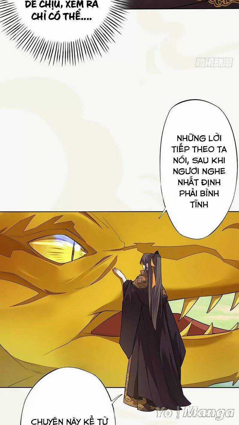 Tuyệt Thế Luyện Đan Sư Chapter 140 trang 28