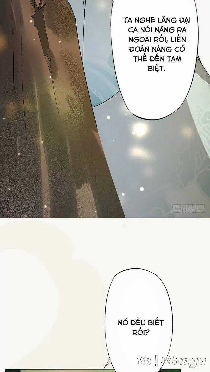 Tuyệt Thế Luyện Đan Sư Chapter 140 trang 32