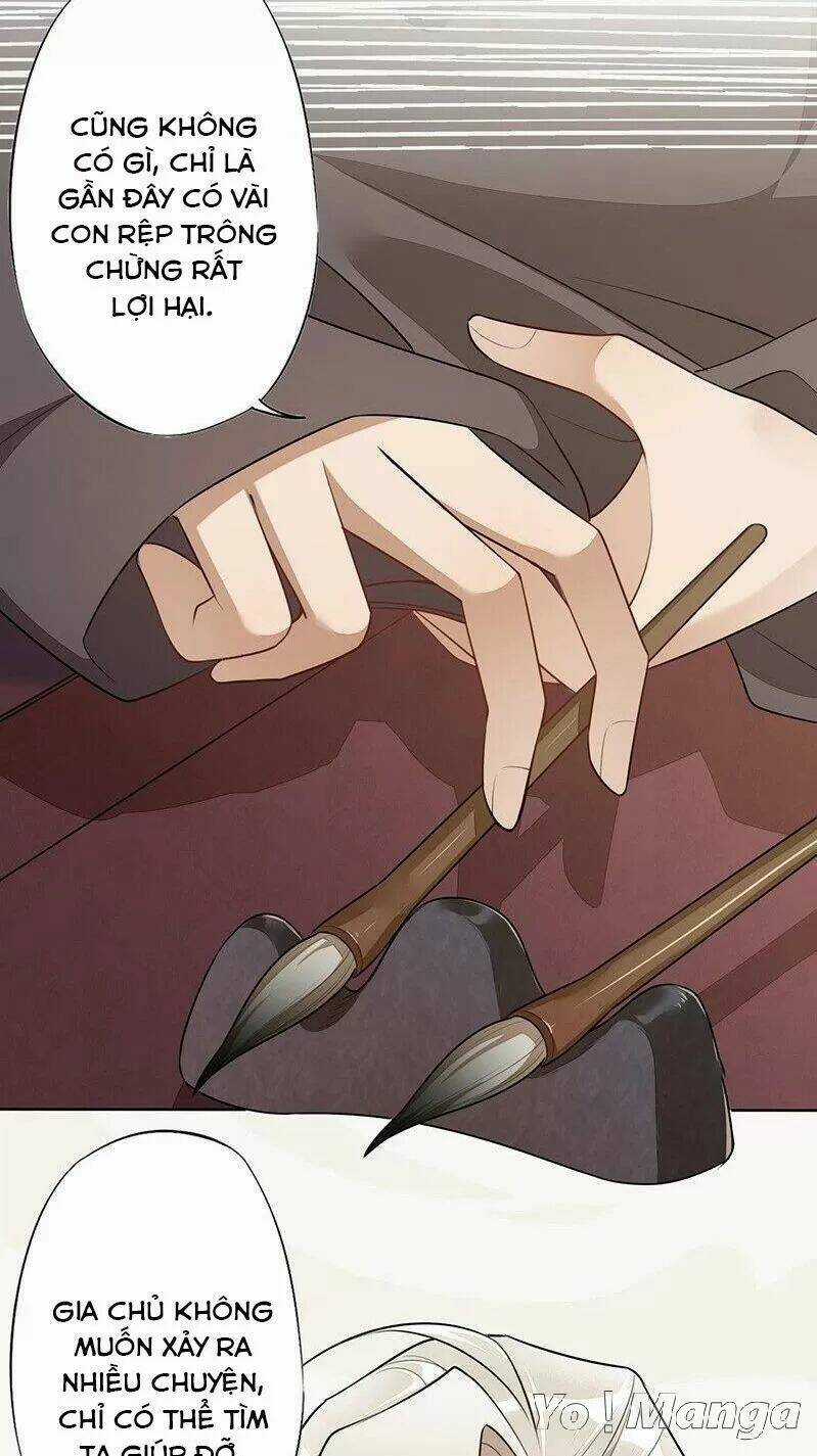 Tuyệt Thế Luyện Đan Sư Chapter 141 trang 19